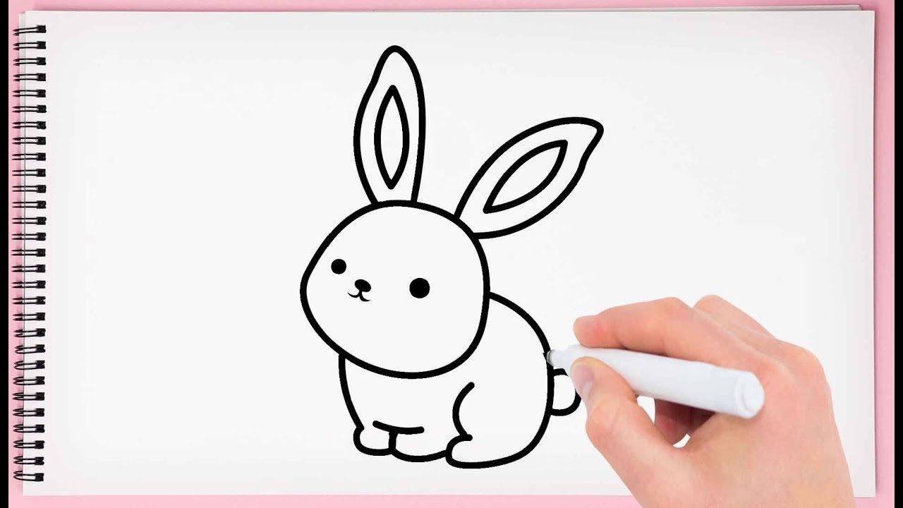 Rabbit Drawings For Kids