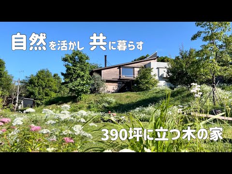 自然な庭のアイデアを簡単に実現する方法！芝生の代わりに在来種で作るエコな庭