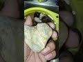 Hermosa piedra amarilla con cuarzo #preciousstones #piedraspreciosas #minerals #minerales #opal