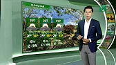 
      Thời tiết du lịch 28/07/2019: Quảng Nam có nắng và ít mưa với mức nhiệt cao nhất từ 33-34 độ | VTC14
    