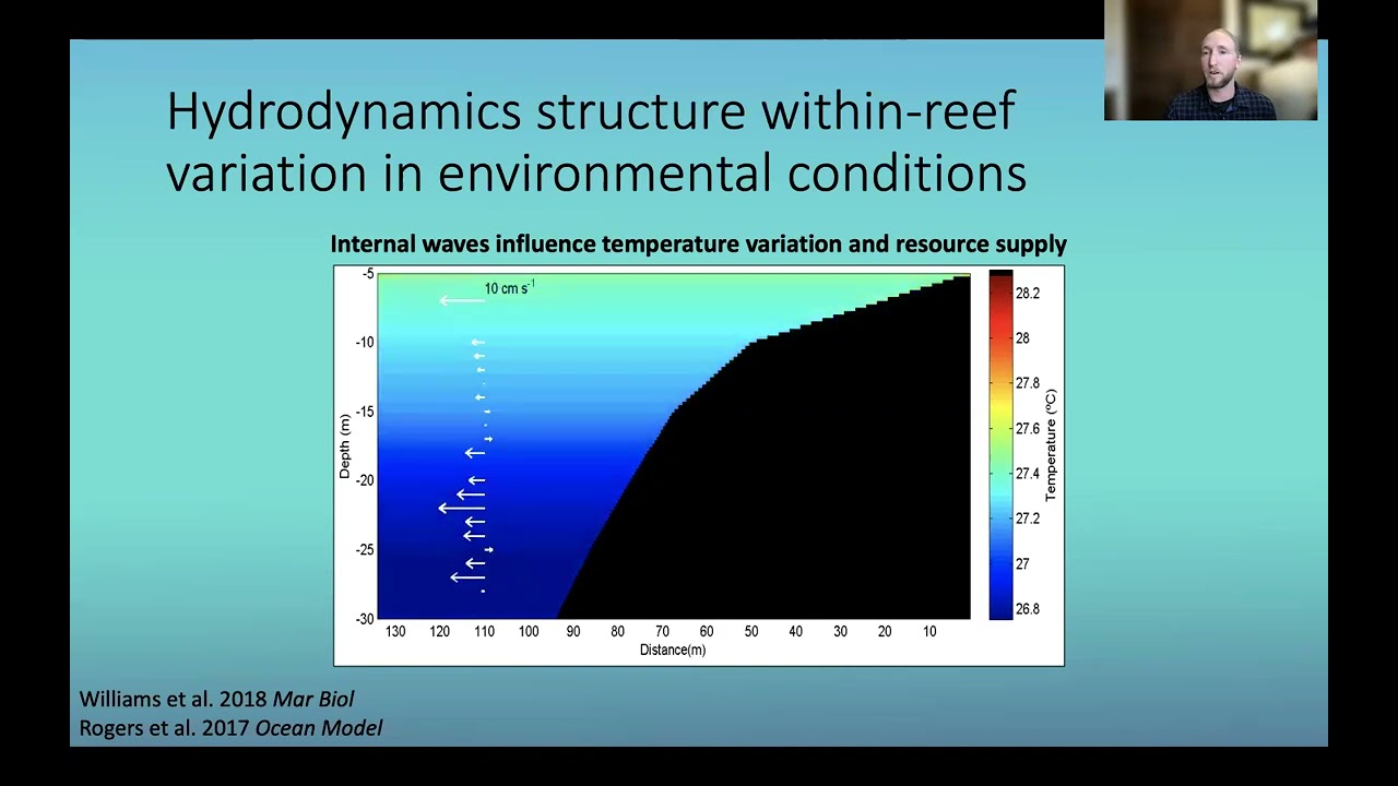 8.1. LAI Case Study: Physical Drivers