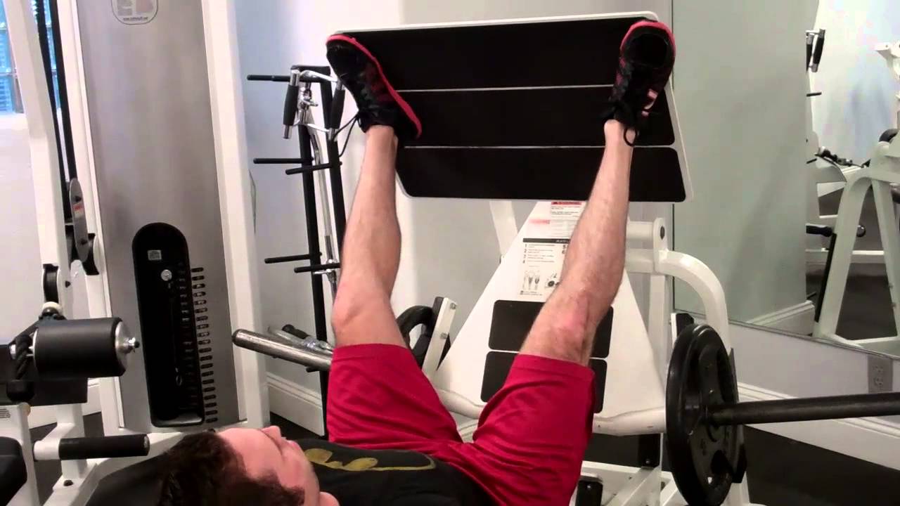 72 Recomended How to feel seated leg press in glutes for Workout Routine