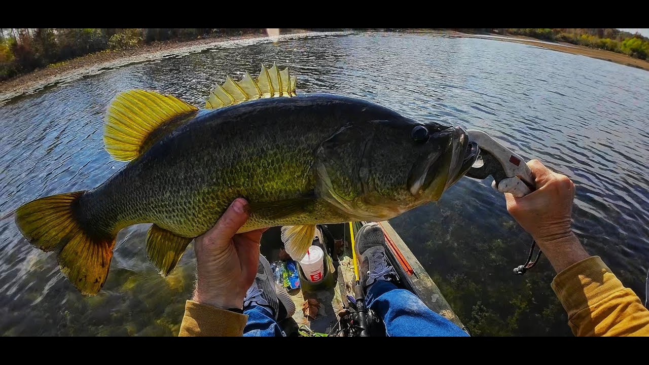 The Biggest Bass ive Ever Caught!!   a Sam Rayburn Beast!