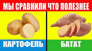 Батат - да, картофель - нет и вы должны знать почему