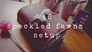 June 2017 Traveler&#39;s Notebook Setup | Speckled Fawns a6 Snickerdoodle 📚