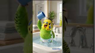 🦜🎒 Budgie Baby Gets Ready for School! 🎓 #budgiesstory #budgie #cute