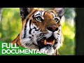 Survive the Wild | Episode 3: Cunning Copulation | Free Documentary Nature