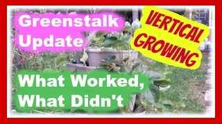 Greenstalk Update Vertical Growing - What Worked and What Didnt