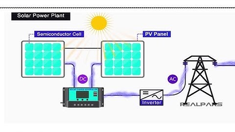 MED-003 SOLVED ASSIGNMENT COMPLETE (2023) @zigmabookcentre FOR PDF 9622265827