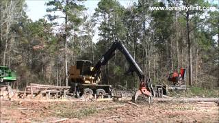 2014 CAT 559C Knuckleboom Loader with 1500 Hours at Forestry First