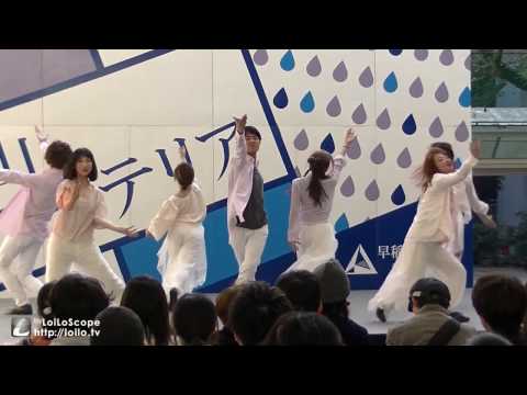 【わせおど】恋ノコリツキ 踊ってみた【早稲田祭2016 戸山カフェテリアステージ】