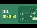 CELL SIGNALING (Cell Communication)