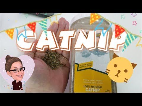 Video: Ang Catnip Ba Ay Isang Gamot Para Sa Mga Pusa?