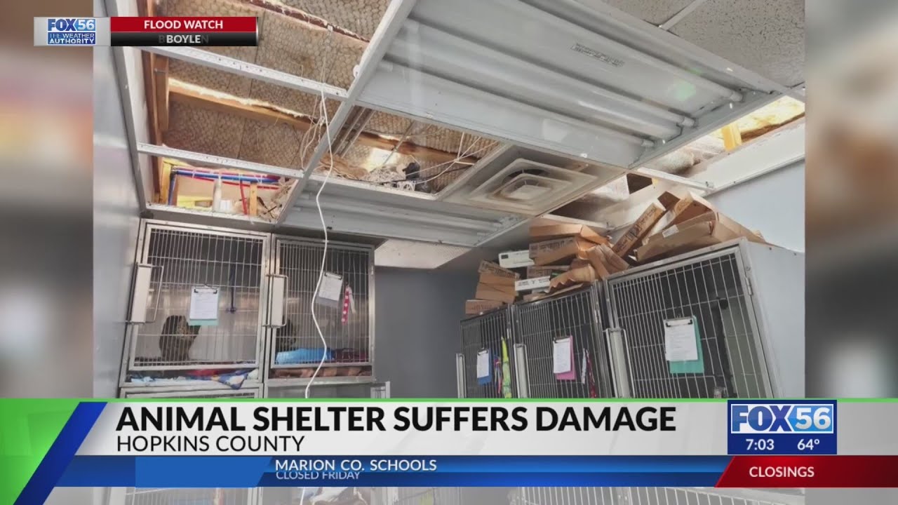 Hopkins County Humane Society loses roof during storms