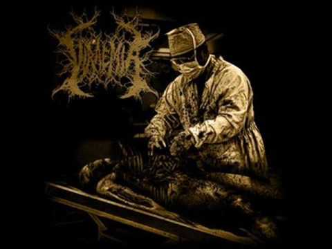 テクデス viraemia、Slaughterbox Viraemia – Viraemia | Releases | Discogs