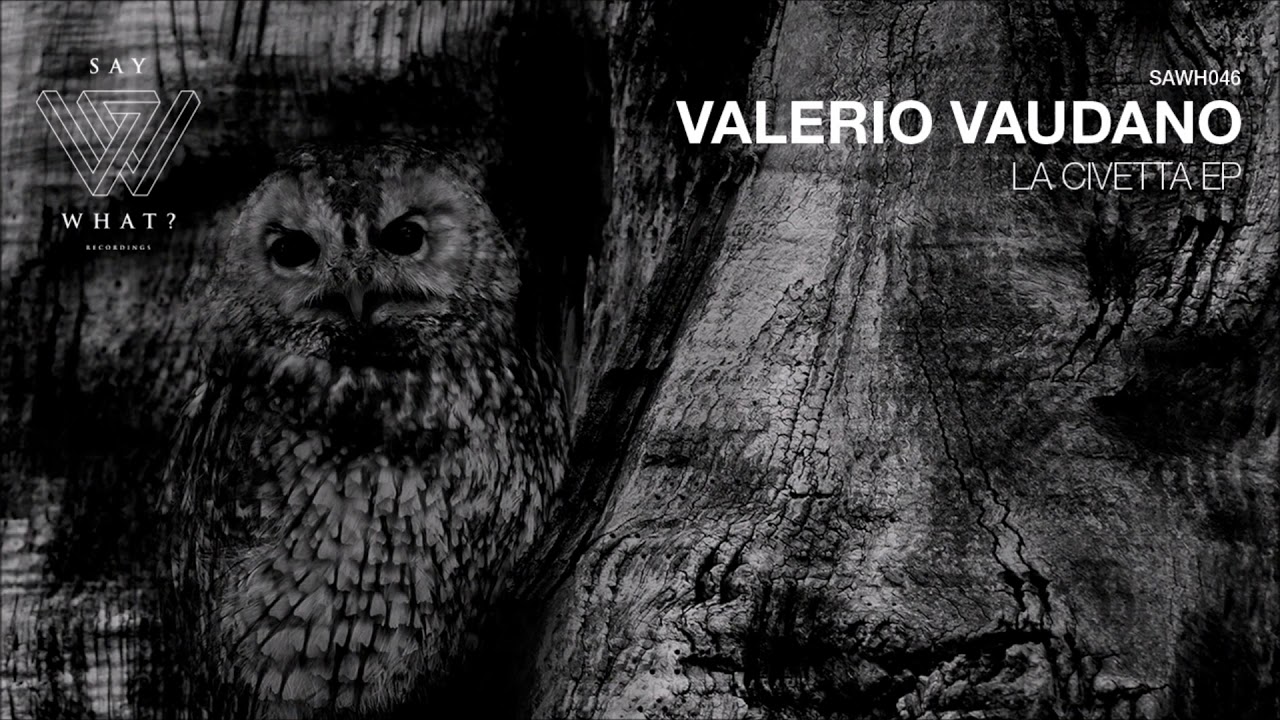 Valerio Vaudano - Viola (Original Mix)