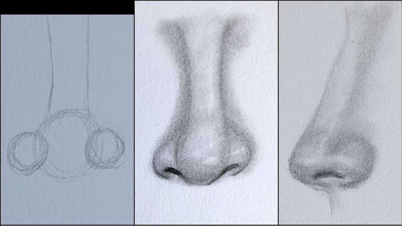 رسم الانف بطريقة الدوائر أكتر من رائعة و سهلة للمبتدئين بقلم الرصاص -  YouTube
