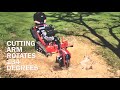 Barreto 30sg stump grinder