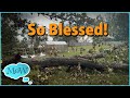 Update on our Week. Hurricane Helene and a Personal Behind the Scene.