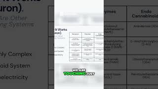Exploring the Complex World of Cannabinoid Receptors