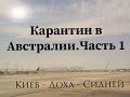 Пересадка в аэропорту города Доха.Карантин в Австралии. Часть 1.Аэропорт города Доха (Катар).