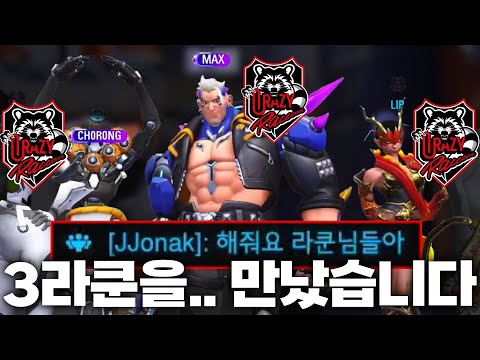 <strong>라쿤</strong> 체험기