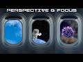 AA_IB_523_Perspective_&_Focus