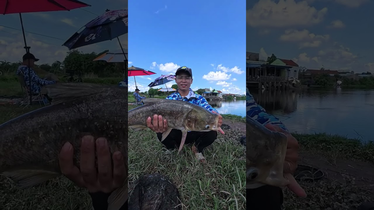 Câu cá hồ 30-40 tấn cá tại Nam Trực, Nam Định
