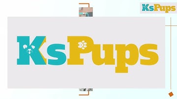 KsPups Powder Coated Iron Cage with Removable Tray 18" Small Dog, Cat, Puppy, Kitten and Rabbit Blue