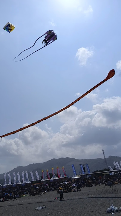 layangan ular cobra raksasa 3 dimensi - Jogja International Kite Festival 2025 Parangkusumo Beach