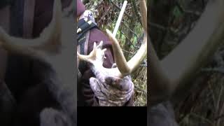 Deer 12 Rewind
A short recap of an Idaho deer hunt from 2012 Deer 12 Rewind