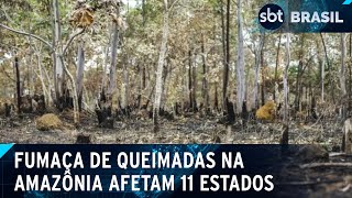 Fumaça de queimadas na Amazônia chega até o sul do Brasil; entenda como ...
