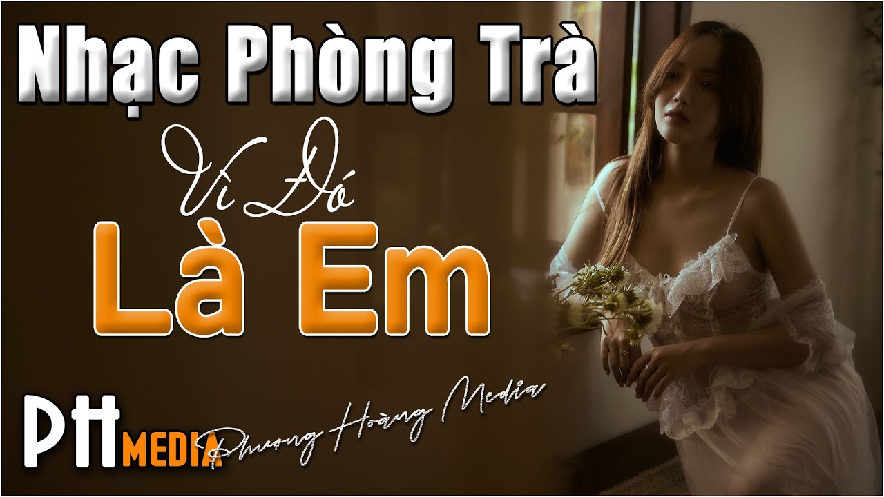 Tuyển Tập 30 Ca Khúc Nhạc Phòng Trà Đắt Giá Vô Cùng |... - youtube