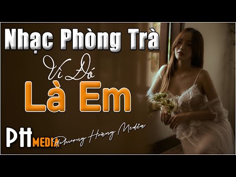 Video Tuyển Tập 30 Ca Khúc Nhạc Phòng Trà Đắt Giá Vô Cùng |... - youtube