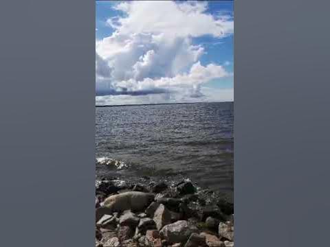 ФИНСКИИ ЗАЛИВ 2024 - YouTube