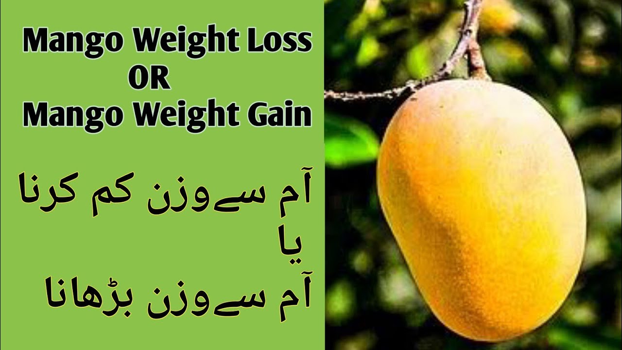 Mango Weight Loss And Mango Weight Gain?? Diet Plan YouTube