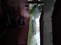 Nature Calamity