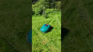 Robomow RK2000 - Robot mowing the very first time