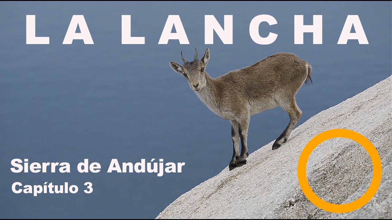 SIERRA DE ANDÚJAR. Capítulo 3 / EMBALSE DE LA LANCHA