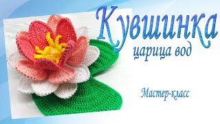 Кувшинка/Water Lily