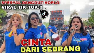 CINTA DARI SEBRANG YANG VIRAL DITIK TOK|TERBARU DANGDUT KOPLO VERSI ALIYA MIRANTI ALTIKA MUSIK 