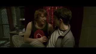 Harry Potter and Ron Weasley: A love story