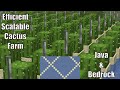 Scalable Cactus Farm with simple water placement | Minecraft 1.16