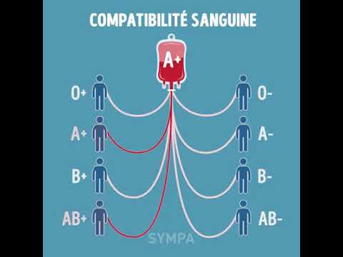 Vidéo: Le plasma doit-il correspondre au groupe sanguin ?