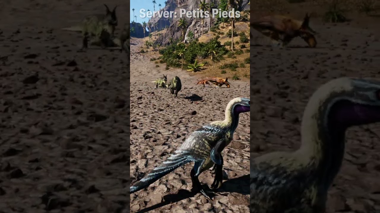 🦖 Ceratos hunting Diablos in the highlands on Petits Pieds - The Isle Evrima
