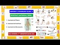 Anatomical terms  anatomical positions  anatomical movements  anatomy  physiology class  2