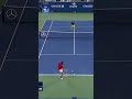 Taylor Fritz's PERFECT reverse lob! 💫