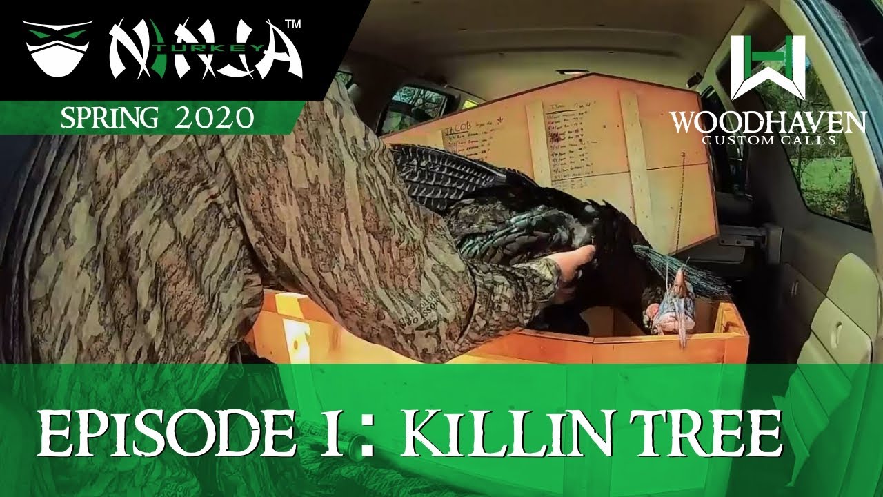 Turkey Ninja 2020 Episode 1 - KILLIN TREE: Early morning turkey hunt.