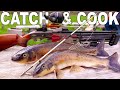 Air Rifle Bow Fishing Rigged to Catch'n Cook Suckers! / BIG Bore 50 cal. Seneca Dragon Claw Air Gun