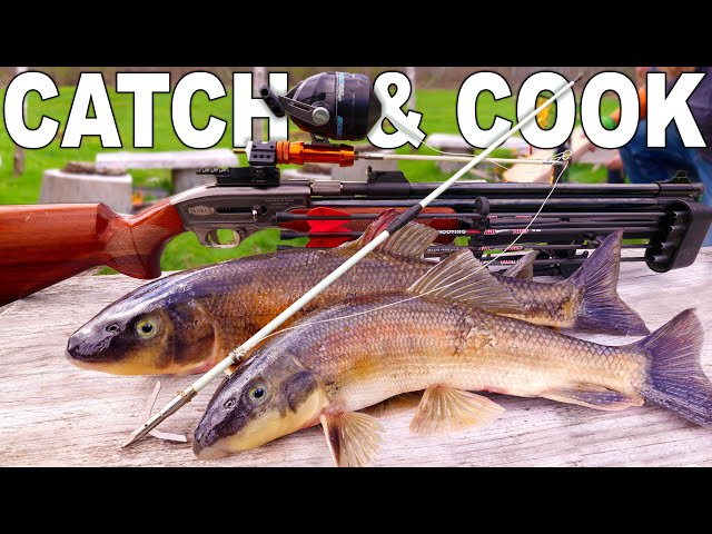 Air Rifle Bow Fishing Rigged to Catch'n Cook Suckers! / BIG Bore